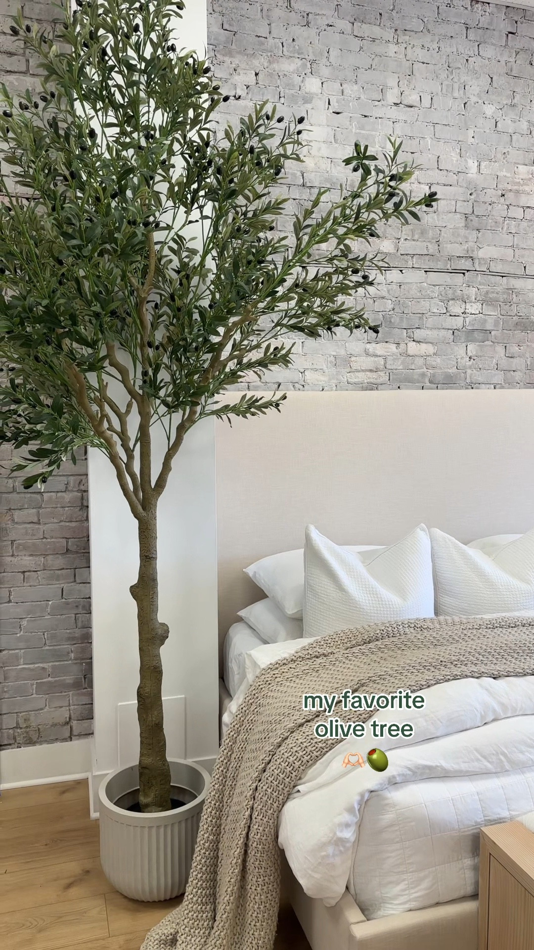 I always search for the most realistic Olive trees…I found another one! 😍 #olivetree #fauxolivetree #homedecor 

#LTKHome