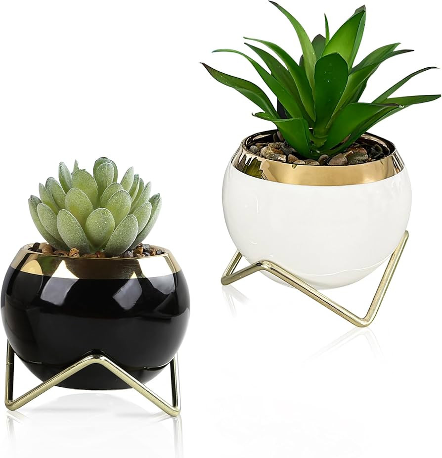 Set of 2 Artificial Succulents in Ceramic pots with Elegant Iron Frames and Delicate Flowers - El... | Amazon (US)