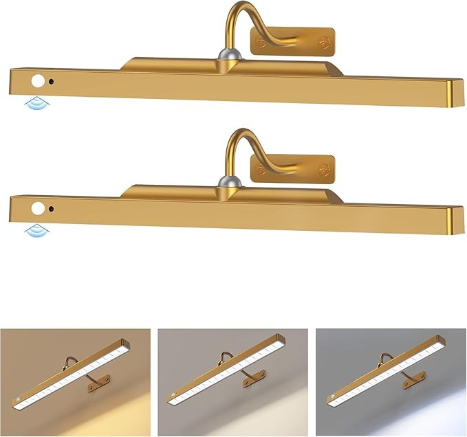 Rechargeable Gallery Lights for Wall Brass– Motion Sensor Picture Light, 5000mAh Wireless and D... | Amazon (CA)