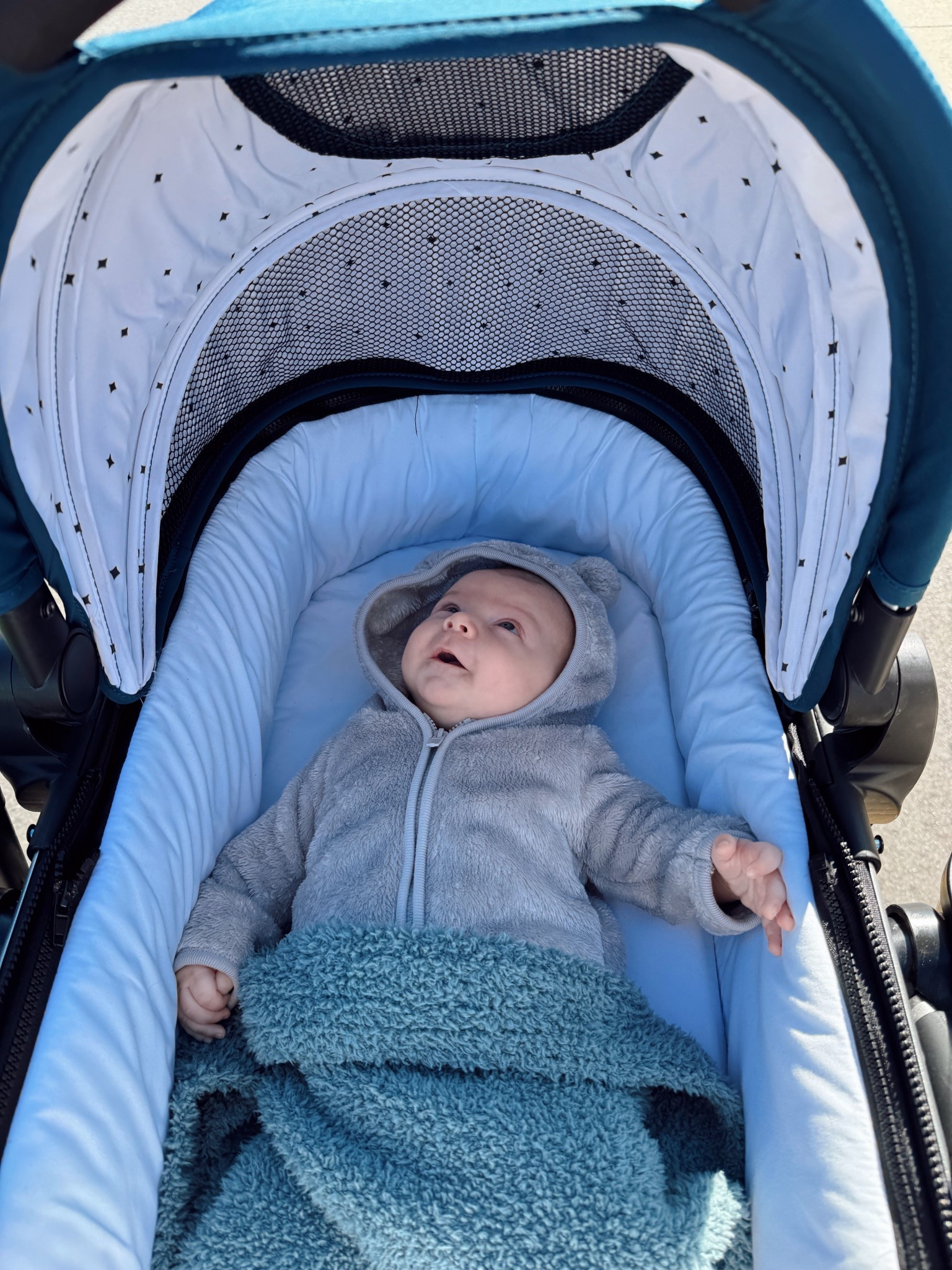 My favorite stroller that’s also cost effective and a dupe of a popular high end stroller! I love how you can customize the seats in so many different ways to fit a growing family 😊 

#LTKKids #LTKBaby #LTKFamily