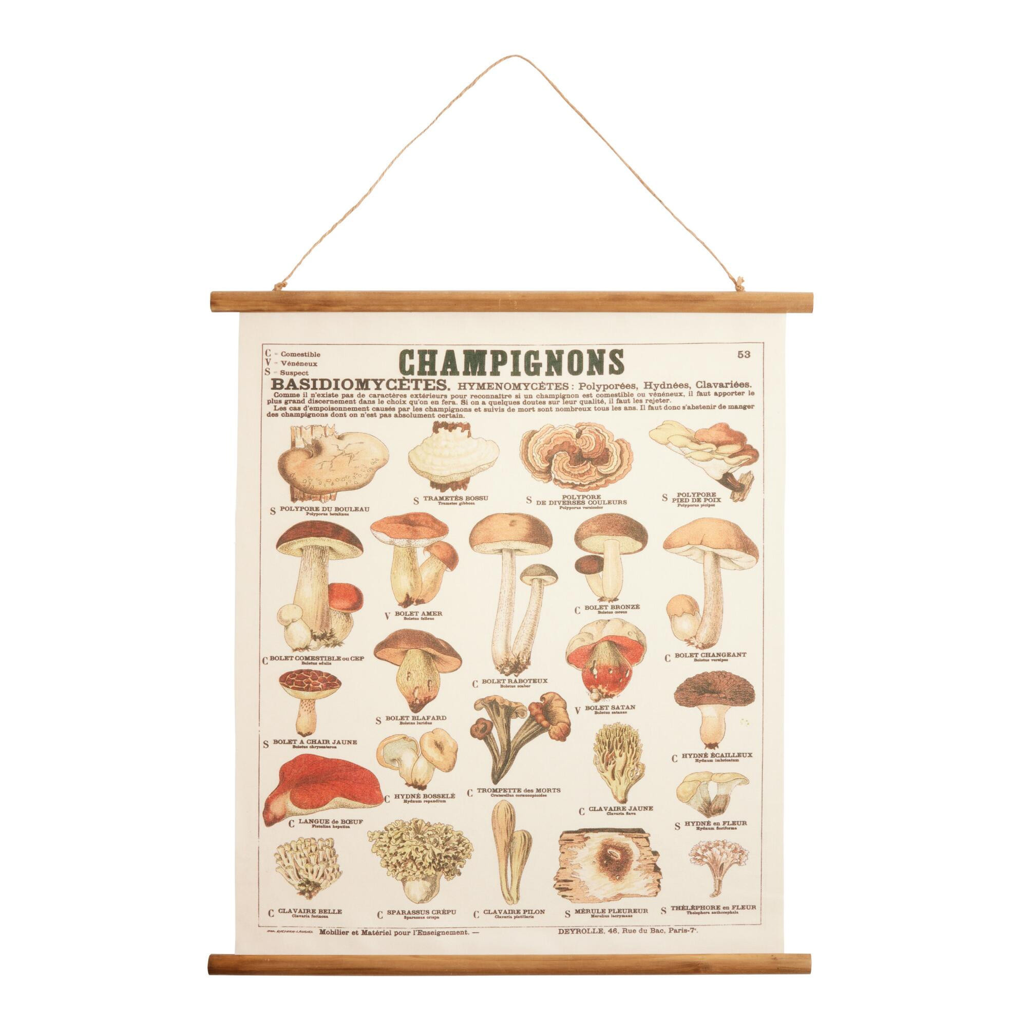 Champignon Fabric Scroll Wall Hanging | World Market
