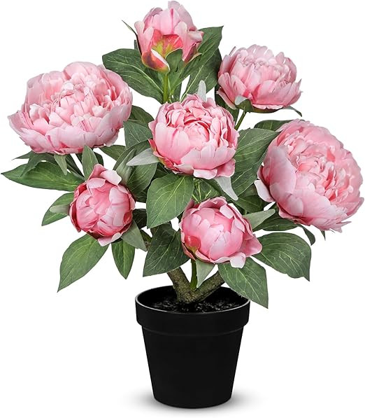 Hollyone Pink Fake Peonies Artificial Flowers in Pot 16.9" Small Peonies Tree Indoor Outdoor Faux... | Amazon (US)