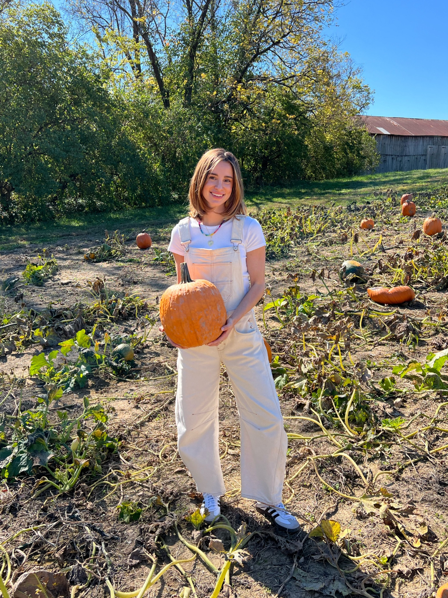 Obsessed with these Free People barrel overalls

Free People, Sambas, Brandy Melville, Pacsun, pumpkin patch



#LTKTravel #LTKSeasonal #LTKFamily