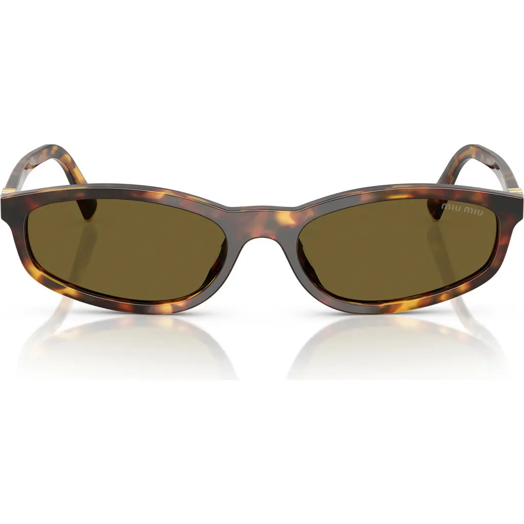 Miu Miu 54mm Irregular Sunglasses in Honey Havana /Dark Brown at Nordstrom | Nordstrom