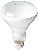 PHILIPS 408662 Soft White 65-watt Br30 Indoor Flood Light Bulb, 4 Count (Pack of 1) - Globe Shape... | Amazon (US)