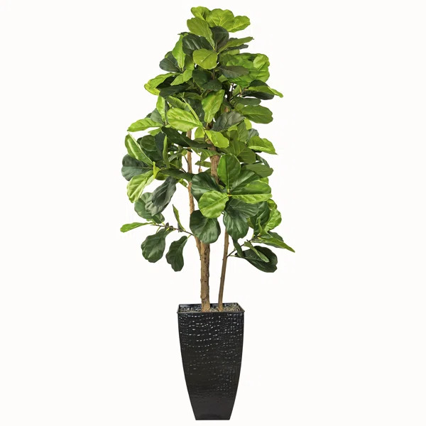Artificial Fiddle Leaf Fig Tree in Basket | Wayfair Professional