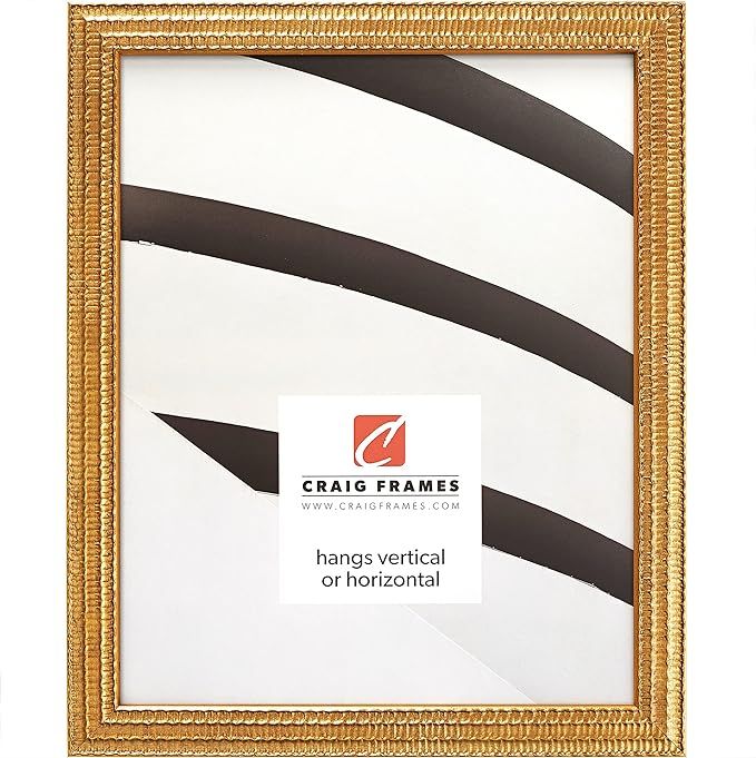 Craig Frames Farnsworth Picture Frame, 18 x 24 Inch, Gold | Amazon (US)