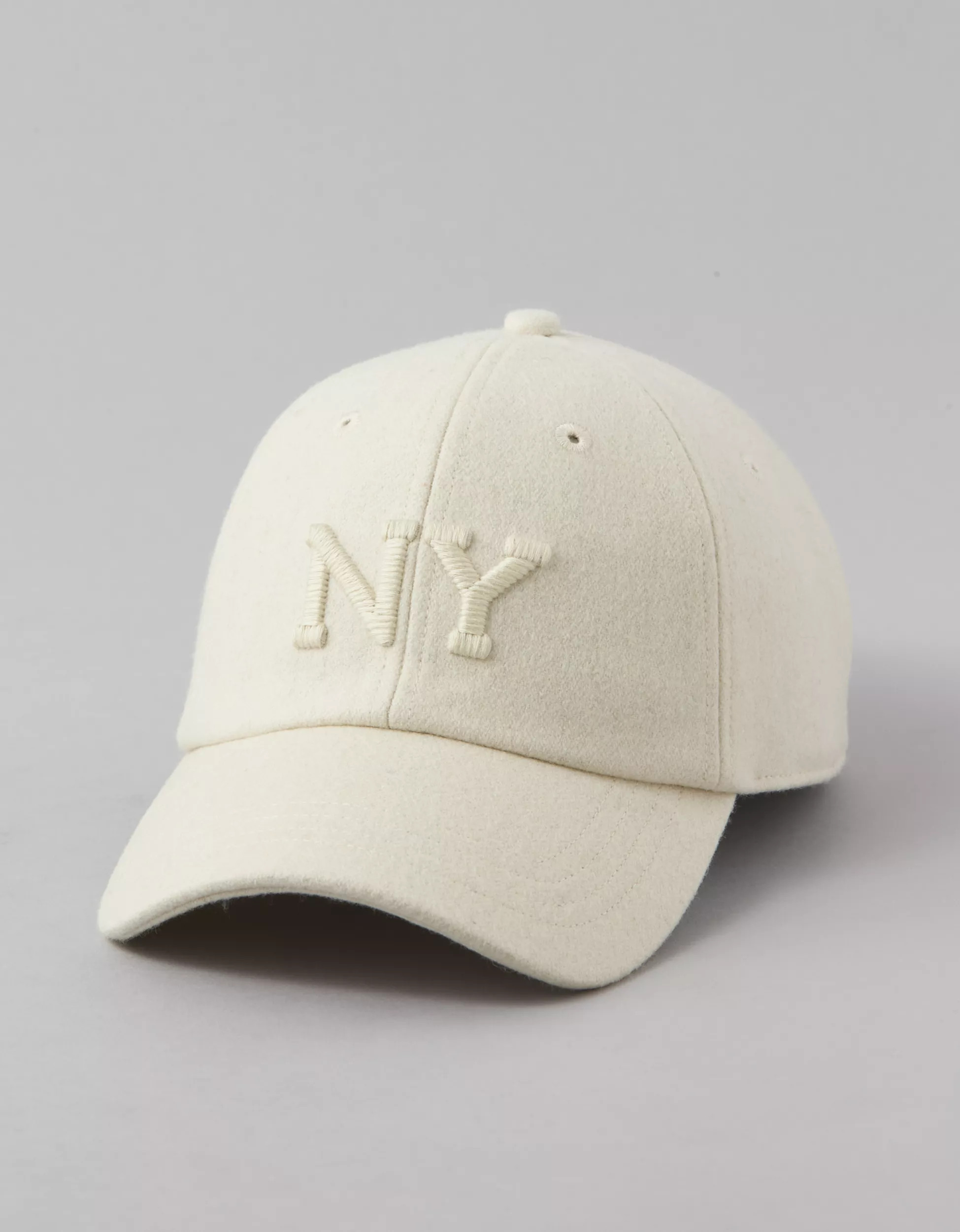 AE Embroidered Baseball Hat | American Eagle Outfitters (US & CA)