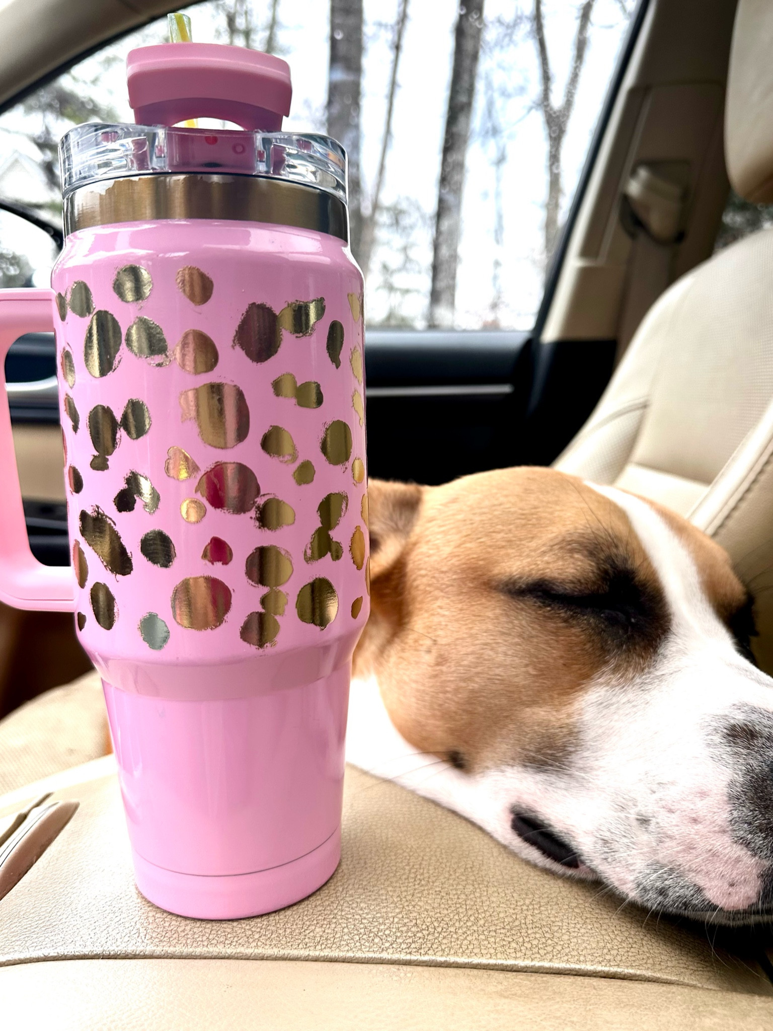 Carline with my favorite cup & my favorite pup 🩷 This cup keeps drinks cold as well as any Stanley and it’s so much lighter (and so cute!) 

#LTKHome #LTKGiftGuide #LTKOver40