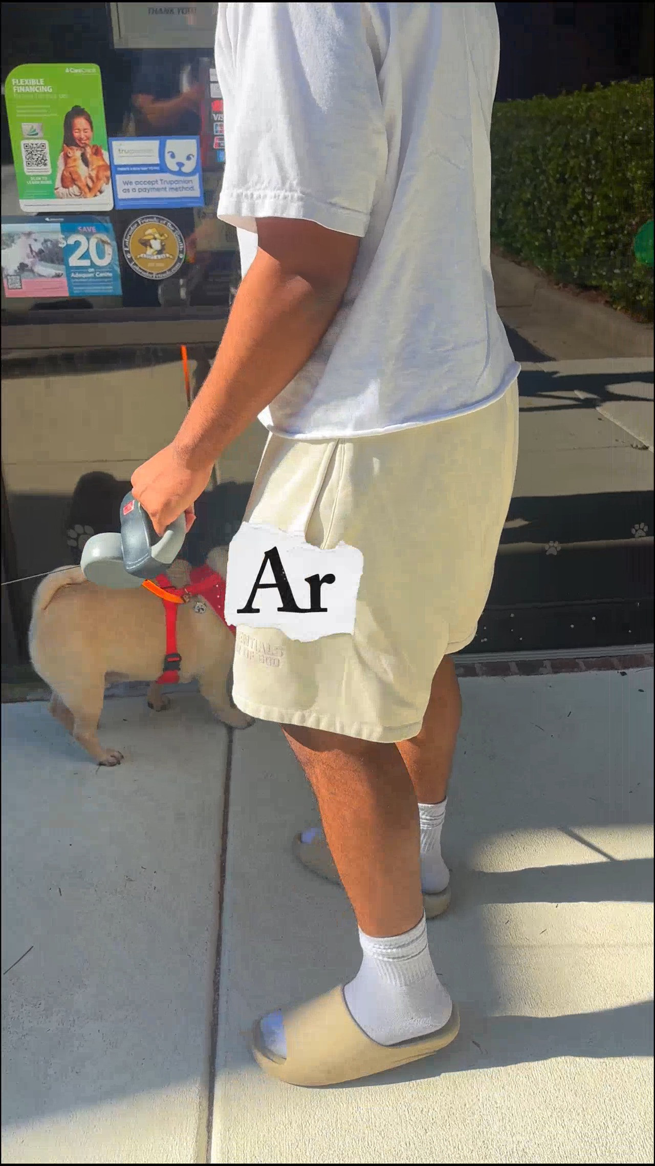 Rehab visit #5 for Artemis… with Apollo along for support. 🐾💙

Well, “support” may be generous. 😂 Apollo mostly gave us attitude and made it very clear he was not impressed with being there.

The funniest part was the glasses. We put them on him upside down, and this boy immediately started walking stiff-legged like he couldn’t see. 😭 I don’t think he liked them one bit.

Meanwhile, Artemis did what he came to do and kept putting those little legs to work.

No lunch stop after therapy today—too much waiting for me at home. Straight back to the grind. 💻🐾

@bluepearlvet

#ArtemisRehab #ApolloThePug #PugLife #DogRehabilitation #PetTherapy #DogMomLife #MichelleRoomsFinds 

 #LTKdayinmylife #LTKfitnessgoals #LTKvlog