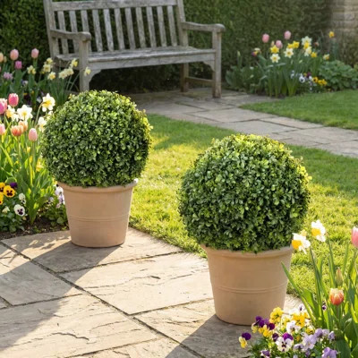 Garnes UV Rated Outdoor Boxwood Ball | Wayfair North America