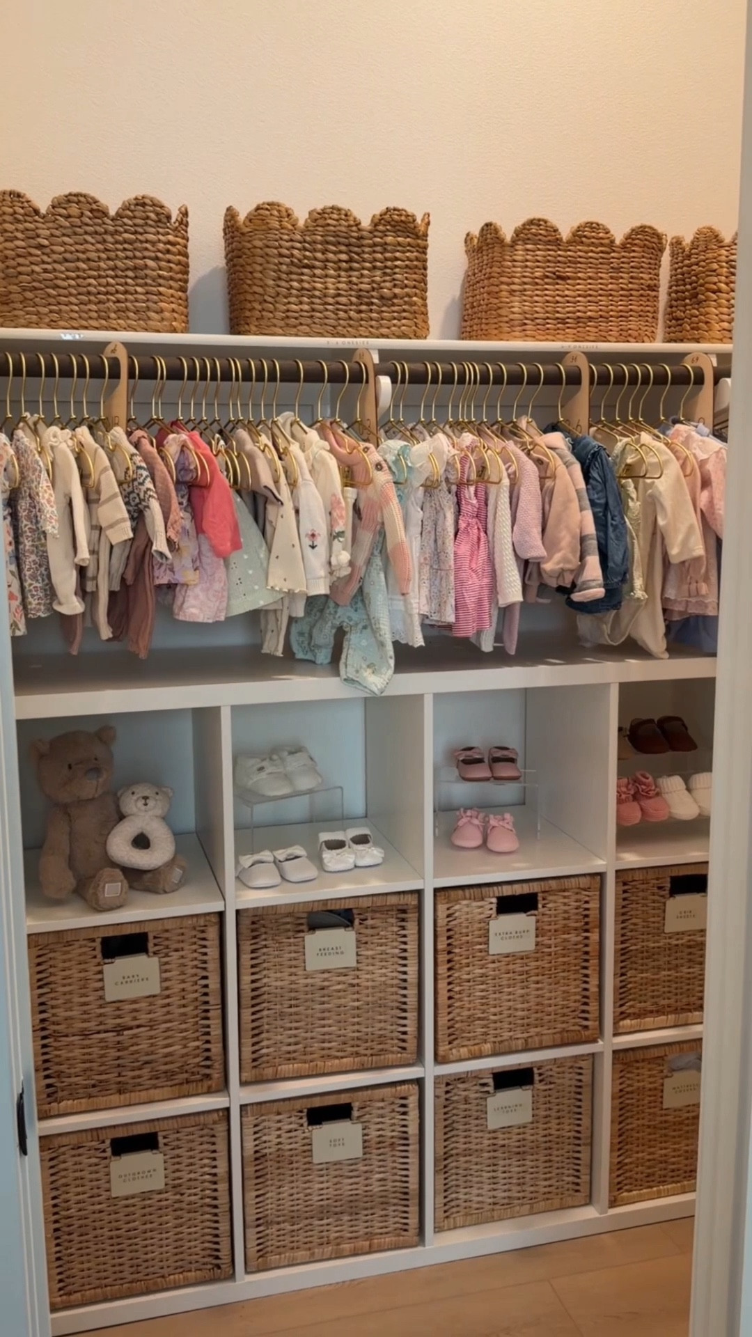 Nursery organizationn