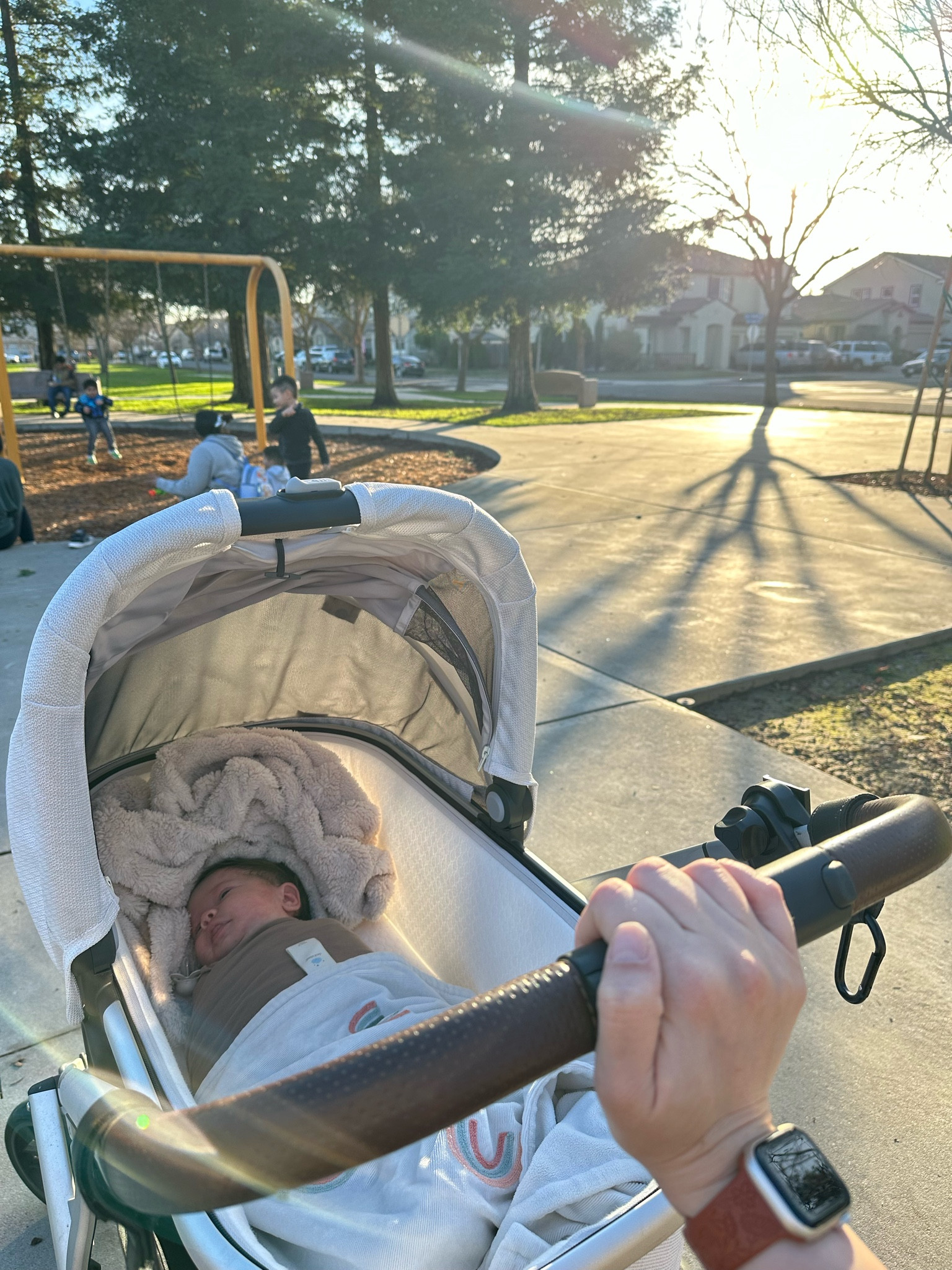 This bassinet is the best for parked days with my Little’s and to get my walks in! 

#LTKBaby #LTKActive #LTKFamily