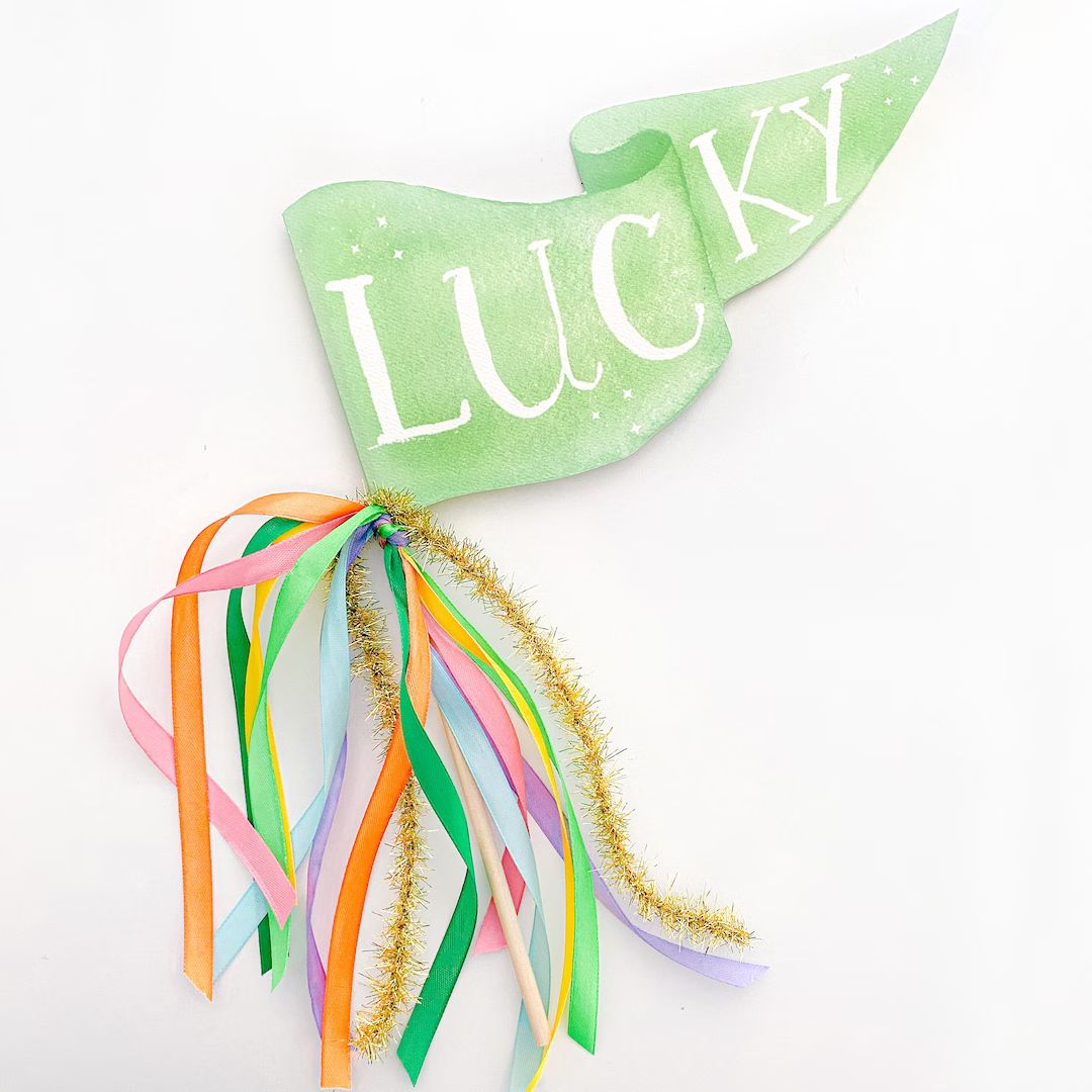 Lucky Party Pennant  St. Patrick's Day Party Decor  St. - Etsy | Etsy (US)