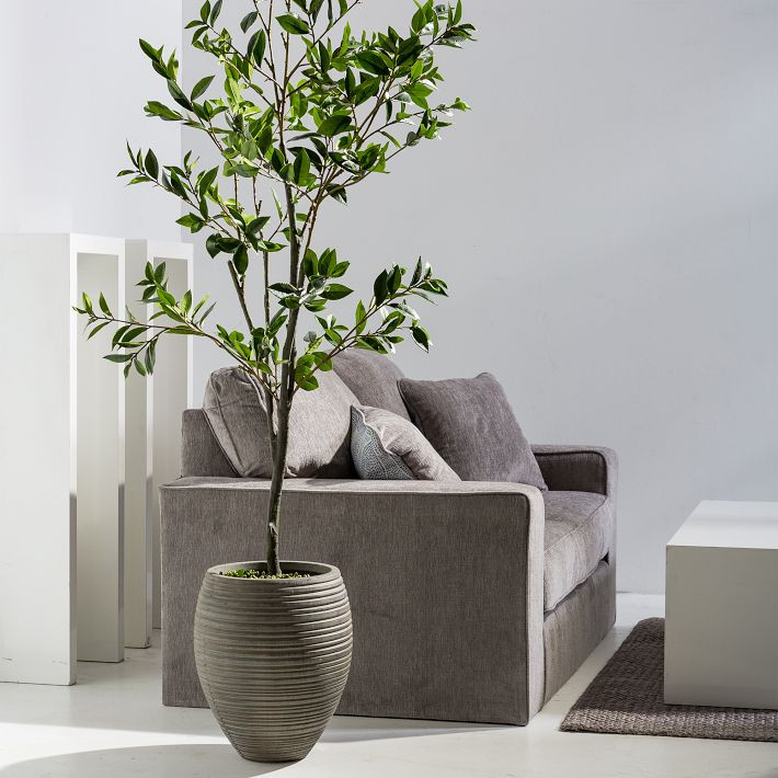 Faux Potted Laurel Tree w/ Planter | West Elm (US)