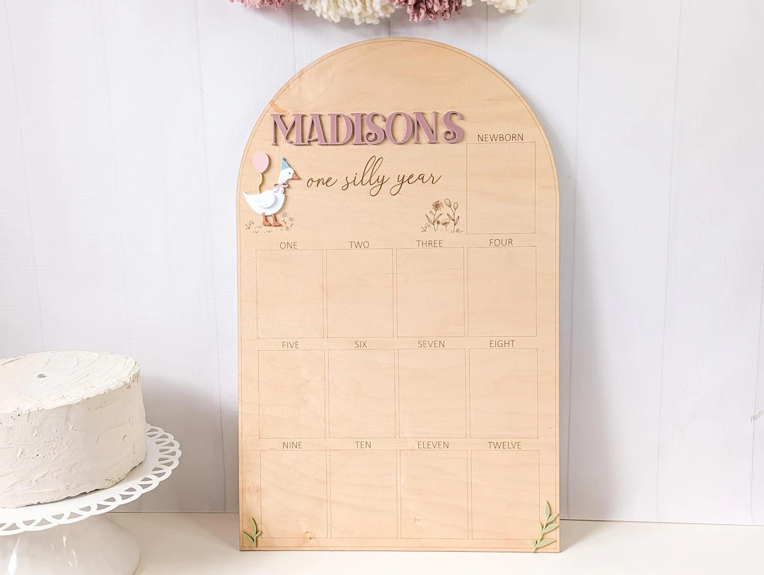 One Silly Goose, First Birthday Photo Board, Silly Goose Birthday, Gift for One Year Old Girl - E... | Etsy (US)