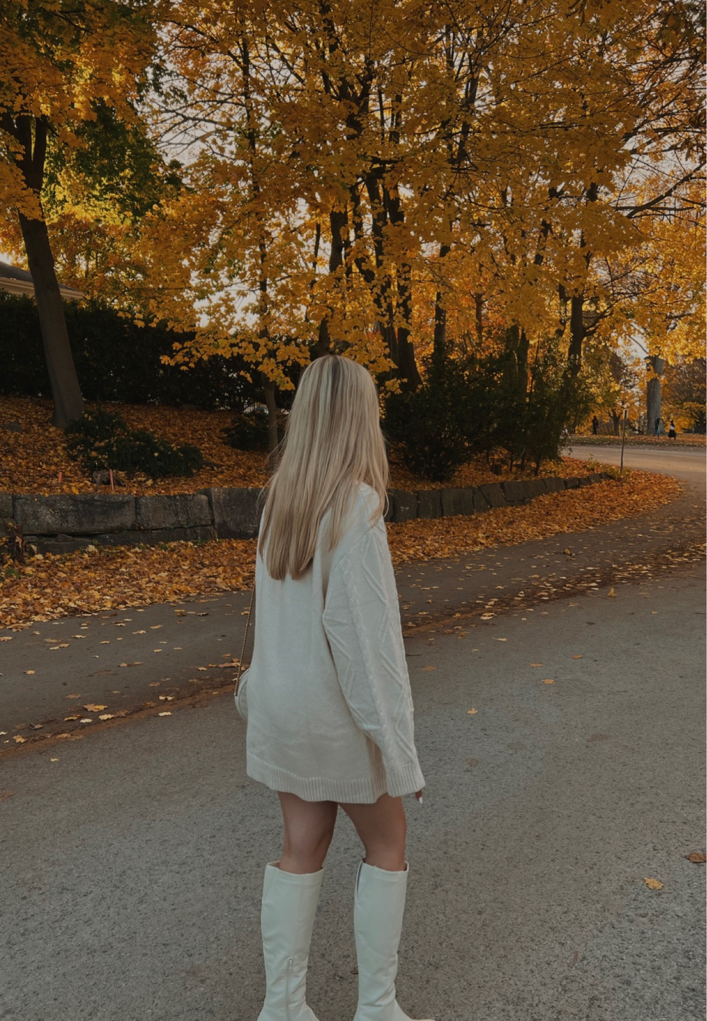 fall outfit ideas 🫶🏼

#LTKBacktoSchool #LTKSeasonal #LTKFind