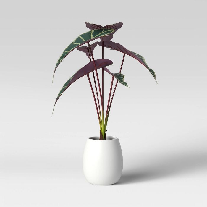 Faux Tropical Purple Diamond Leaf Plant in White Pot - Opalhouse™ | Target