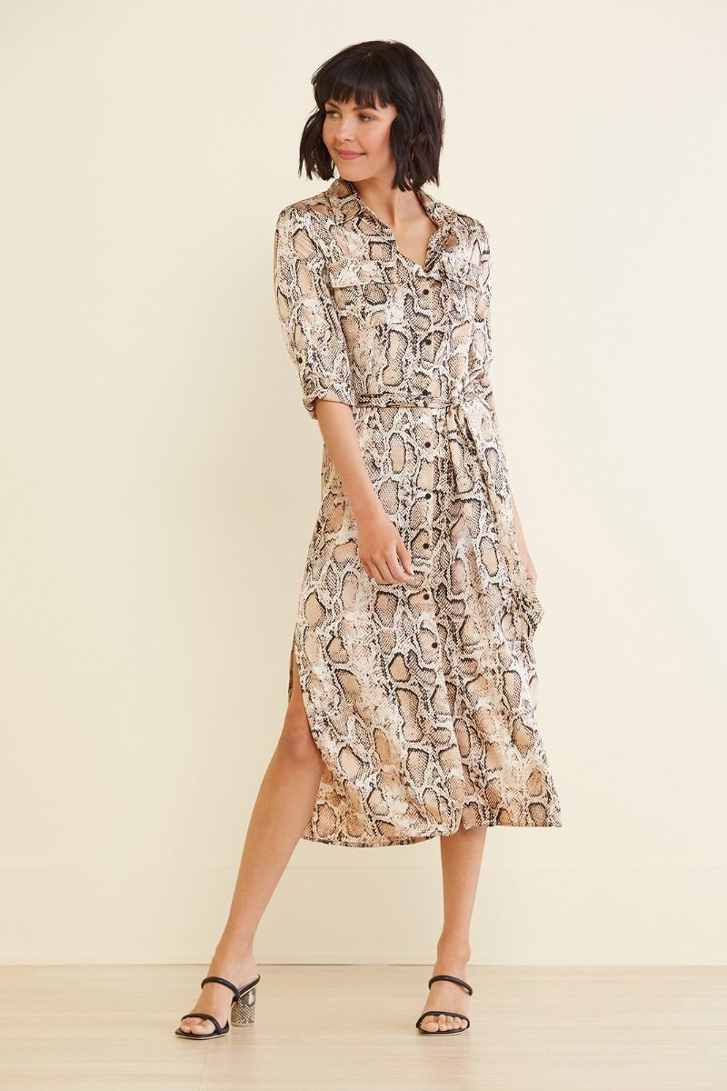 Python Print Shirt Dress | Evereve