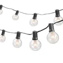 Wayfair Basics 25' Outdoor Plug-in 25 - Bulb Globe String Light | Wayfair North America