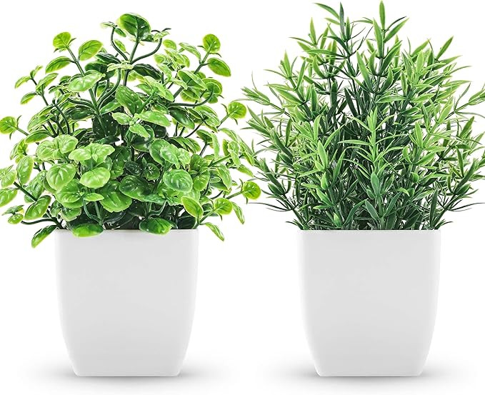 2 Pack Fake Plants Small Artificial Greenery Faux Plants Indoor for Home Farmhouse Bathroom Shelf... | Amazon (US)