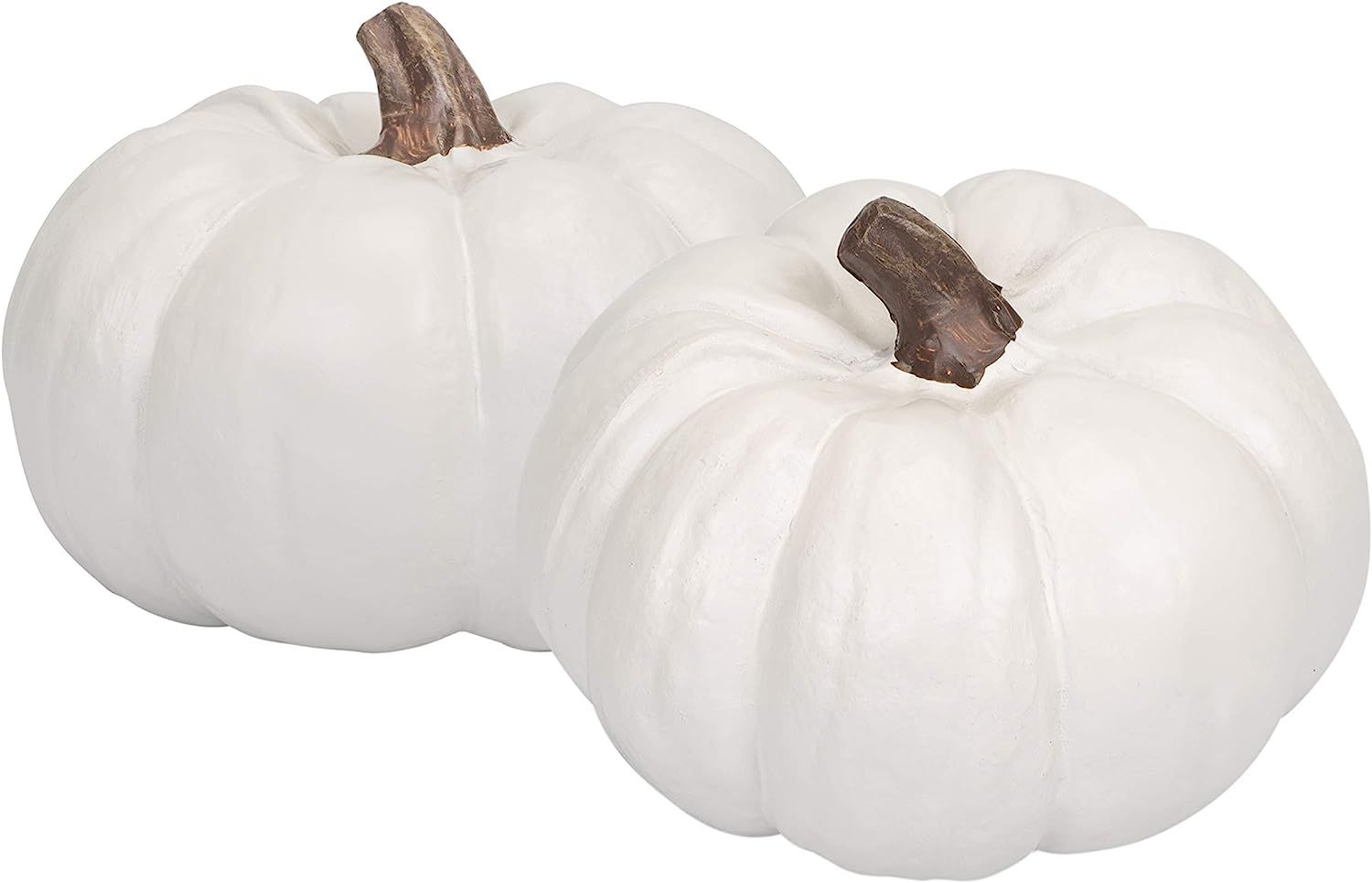Elanze Designs Classic White 6 inch Resin Harvest Decorative Pumpkins Pack of 2 | Amazon (US)