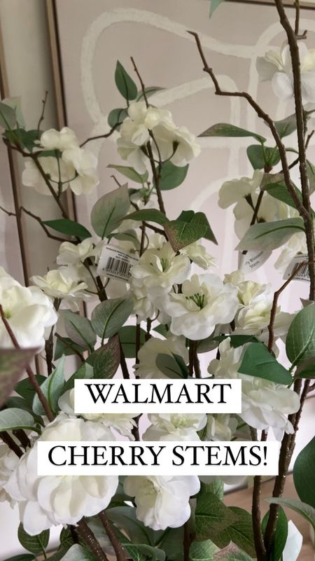 Walmart 50” cherry blossom stems! Can’t get over how pretty these are, and big! I don’t think I have a vase that can hold them lol. Highly recommend for just $4.98/stem. I got 4. 

#LTKFindsUnder50 #LTKHome