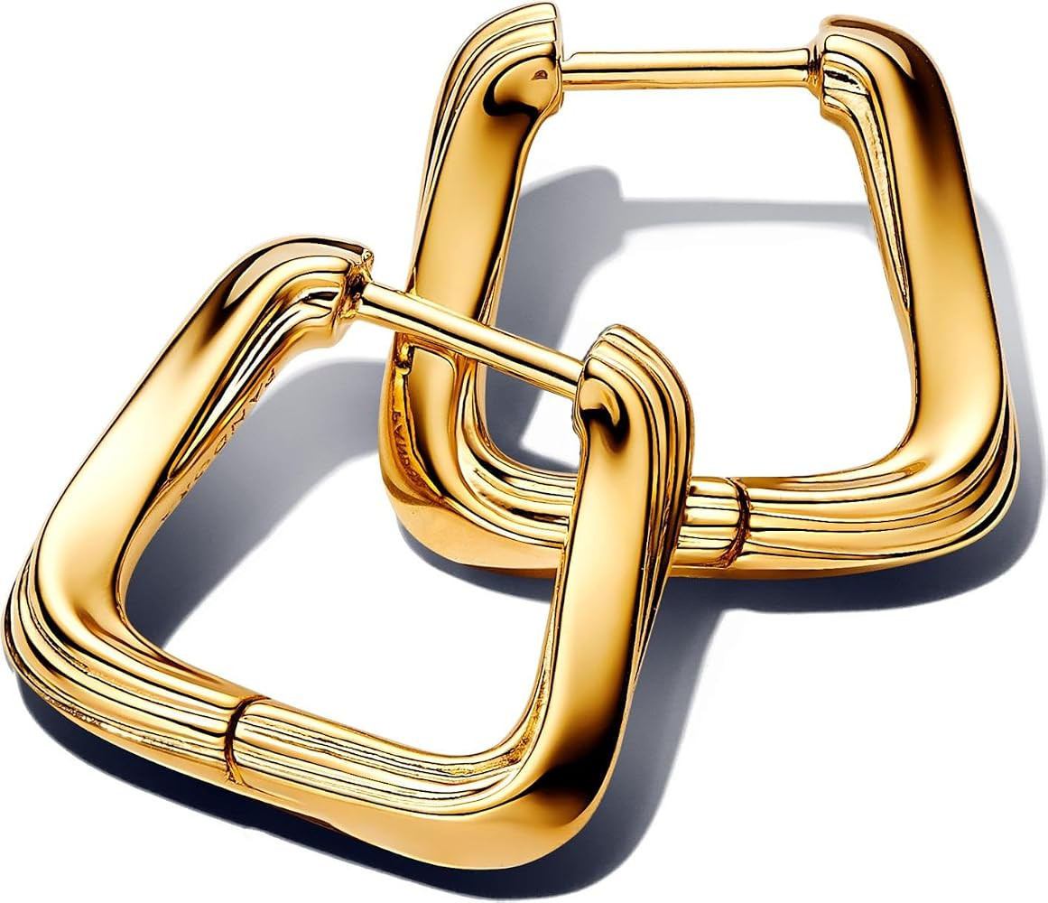 Pandora 263875C00 Small Hoop Earrings | Amazon (DE)