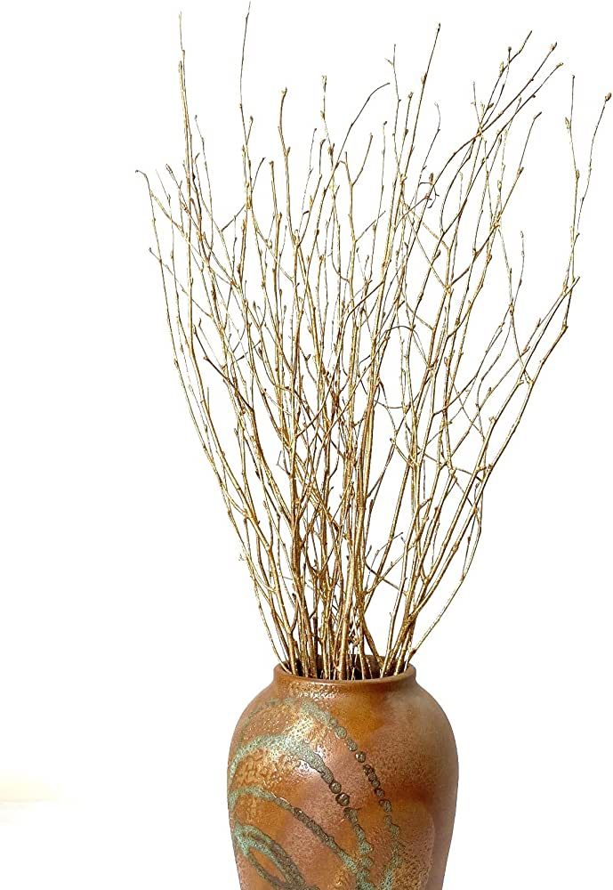 DongArts Decorative Birch Branches,Brich Stems for Wedding Decor,Dried Twigs for Christmas Decor ... | Amazon (US)