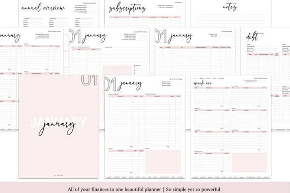 The Financial Planner by Luxbook, Digital Planner, Goodnotes planner, Financial Planner | Etsy (US)
