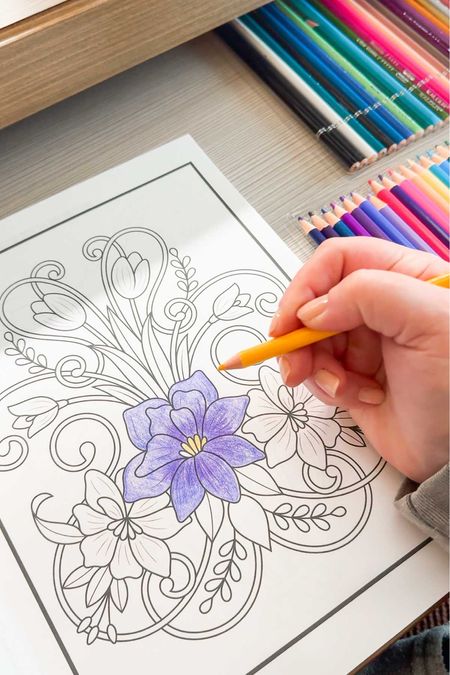 I just developed a new hobby and love creating colorful pages in adult coloring books with these soft colored pencils. It’s the perfect pairing while listening to an audio book or podcast. gift idea Amazon find art book relaxation 

#LTKfindsunder50 #LTKGiftGuide