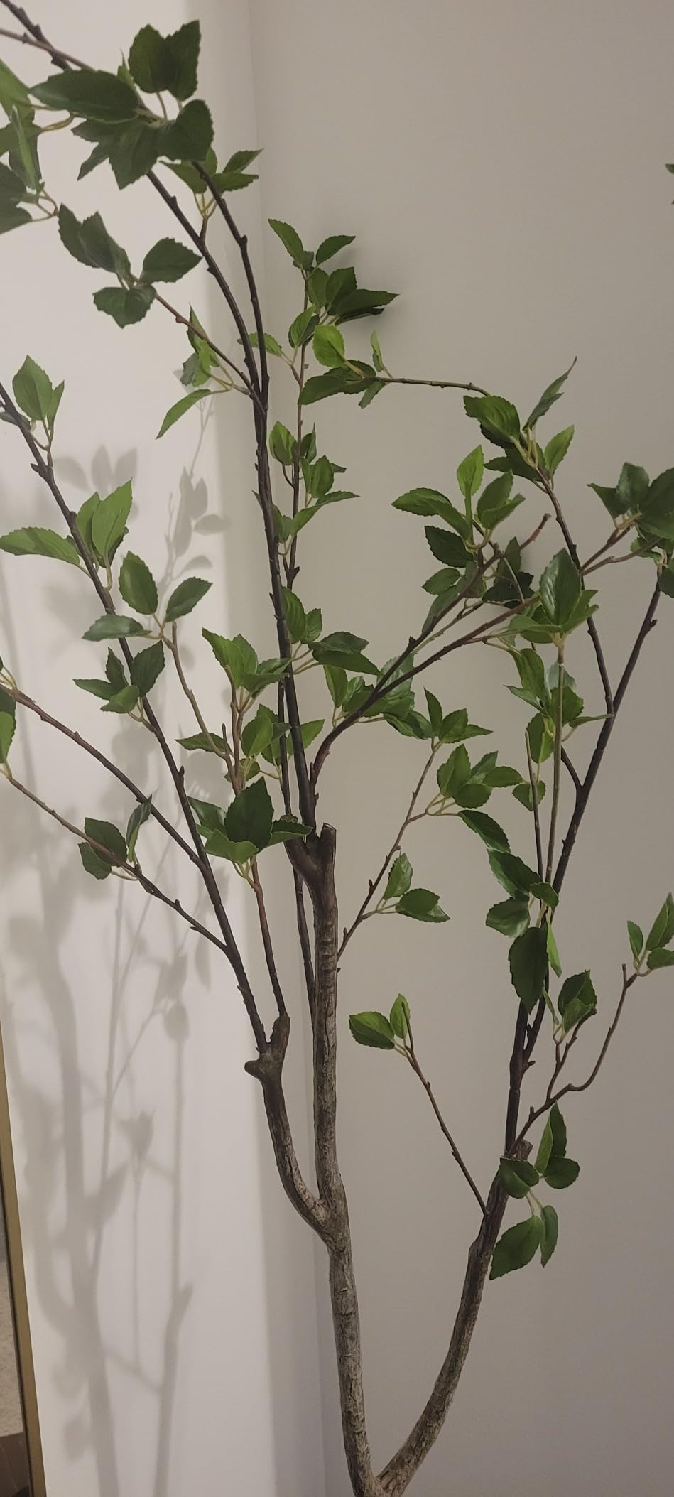 Nearly Natural 5ft Minimalist Citrus Artificial Tree | Amazon (US)