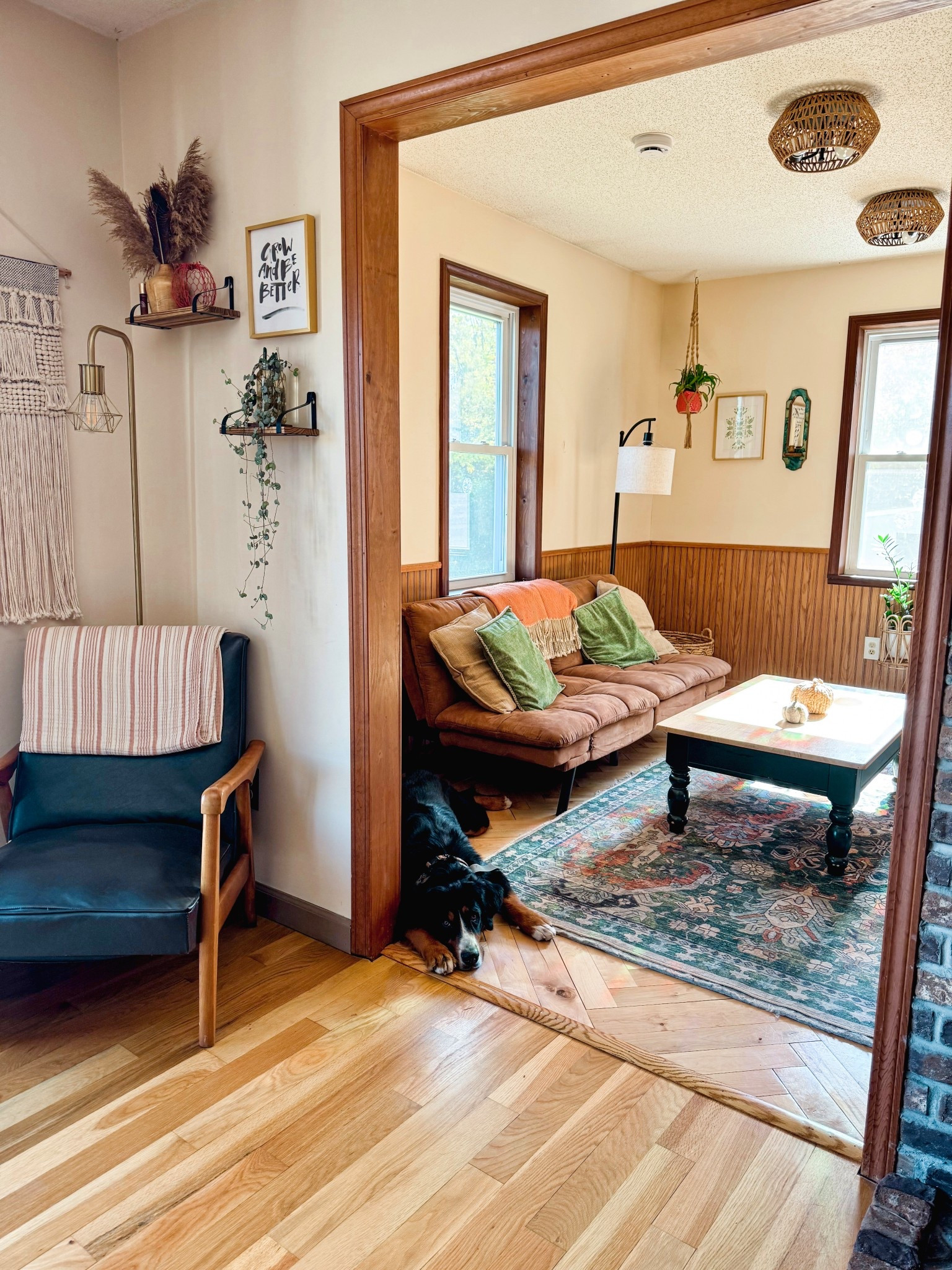 Our den 🤎

#LTKFindsUnder100 #LTKHome #LTKPets