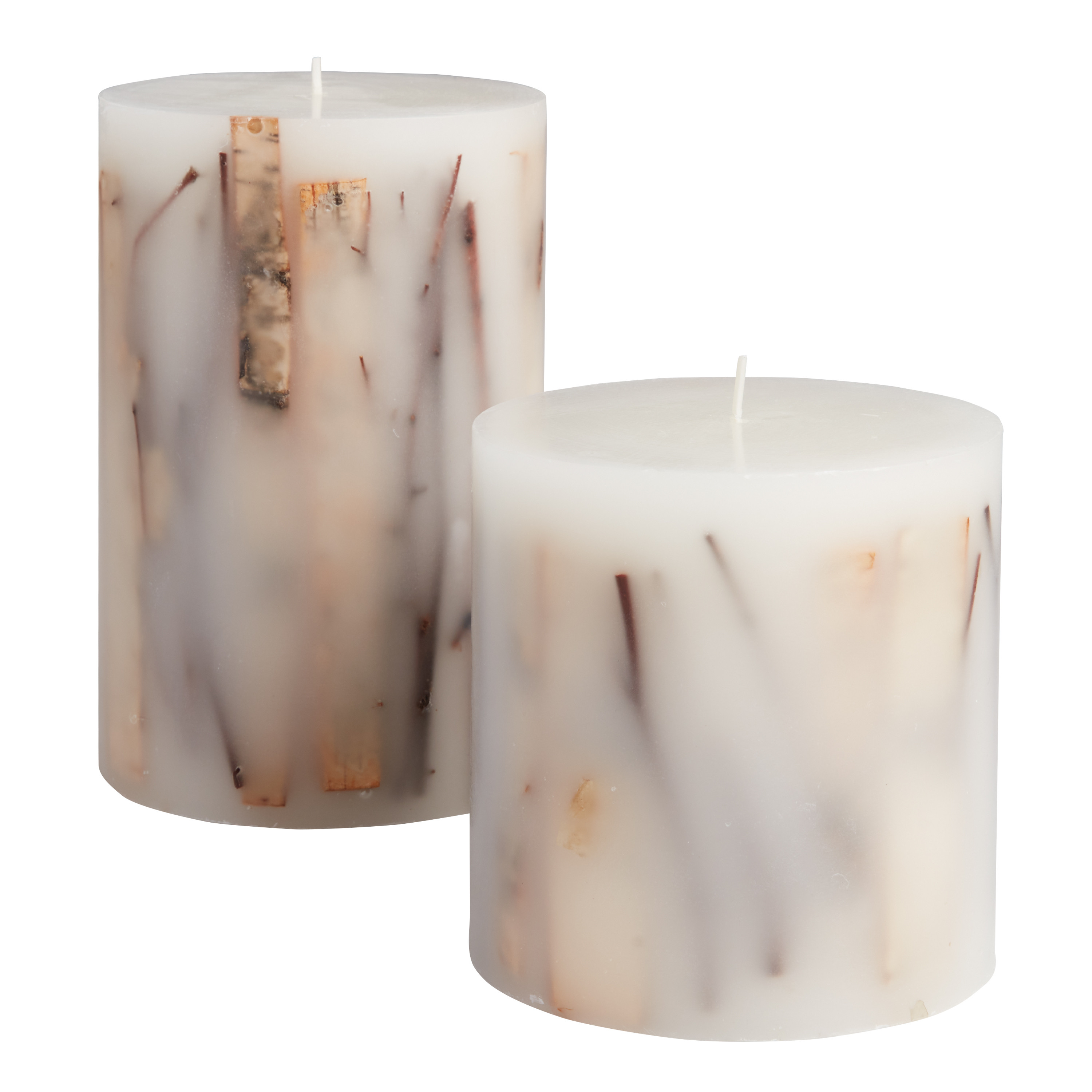 Birch Wood Botanical Inclusion Pillar Candle | World Market