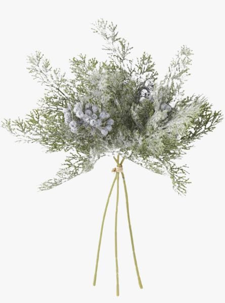 The Refined Dwelling Cedar with Berries Bundle | Amazon (US)