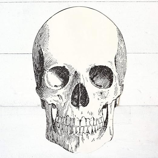 Hester & Cook Paper Placemat, Pad of 12 Die Cut Skull | Amazon (US)