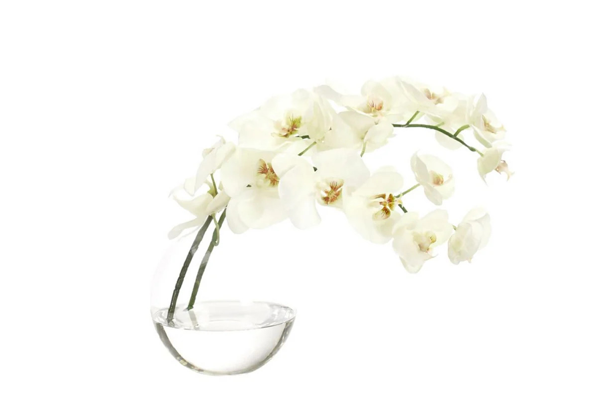 ORCHID PHALAENOPSIS | Alice Lane Home Collection