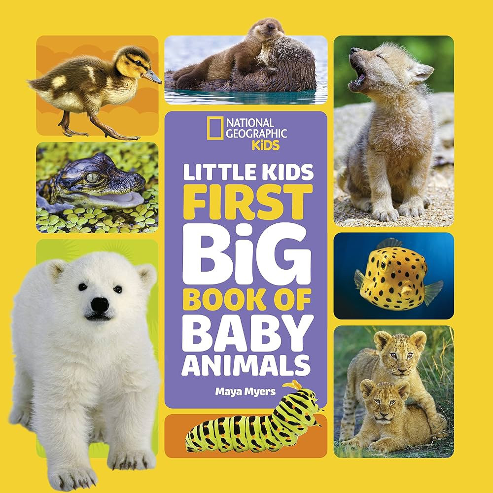 National Geographic Little Kids First Big Book of Baby Animals (National Geographic Little Kids F... | Amazon (US)