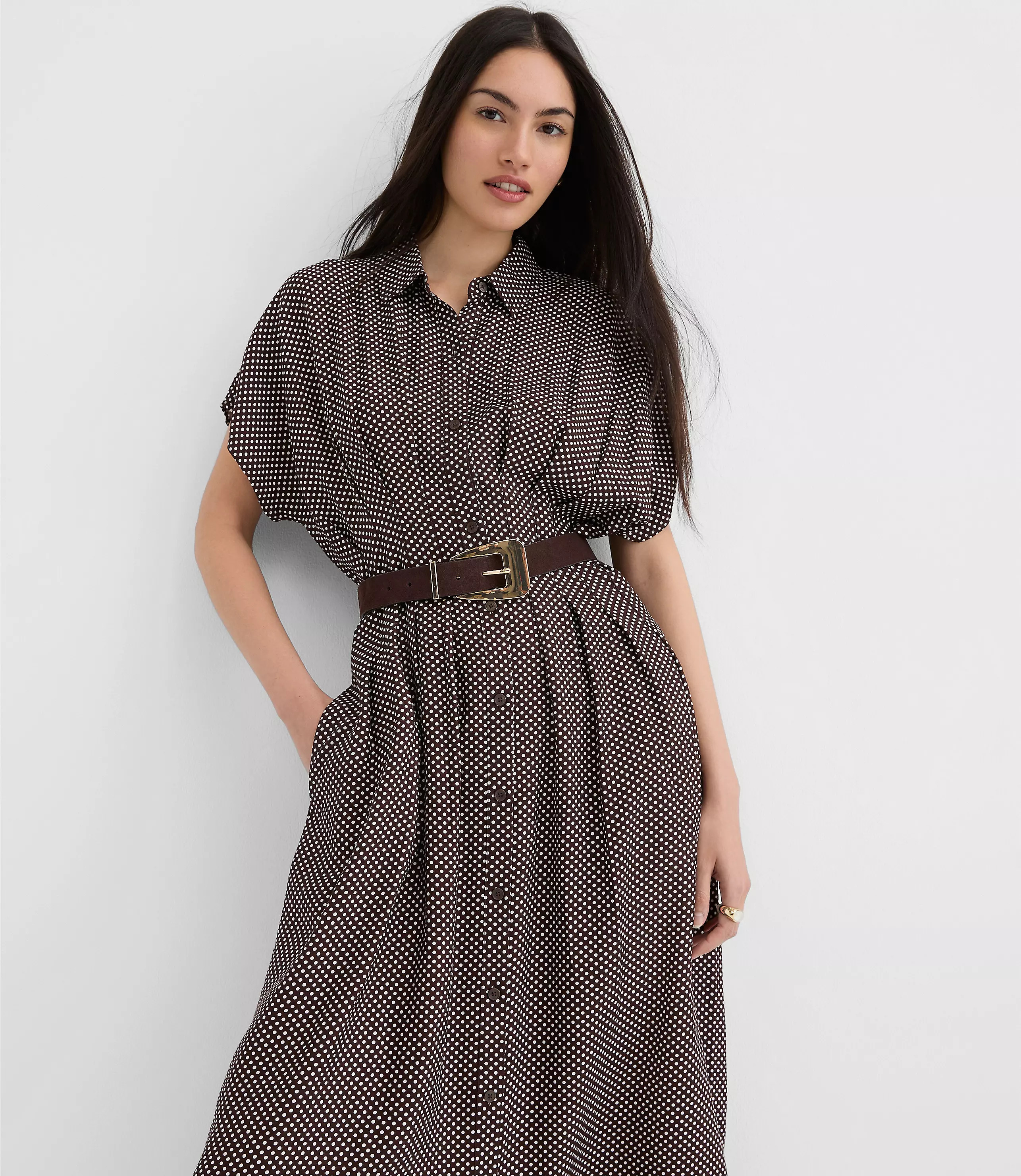 Petite Pindot Pleated Midi Pocket Shirtdress | LOFT