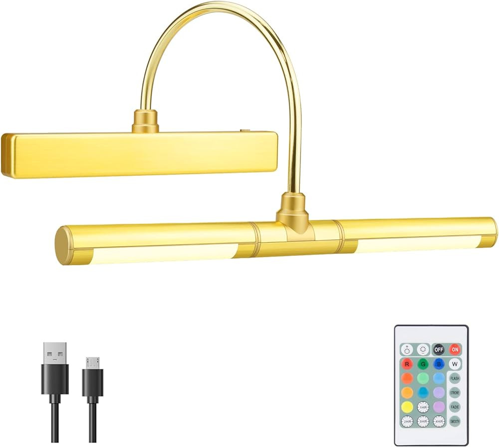 HONGUT Wireless Painting Lights with Remote, Rechargeable Picture Light, 28 LEDs Rotatable Light ... | Amazon (US)