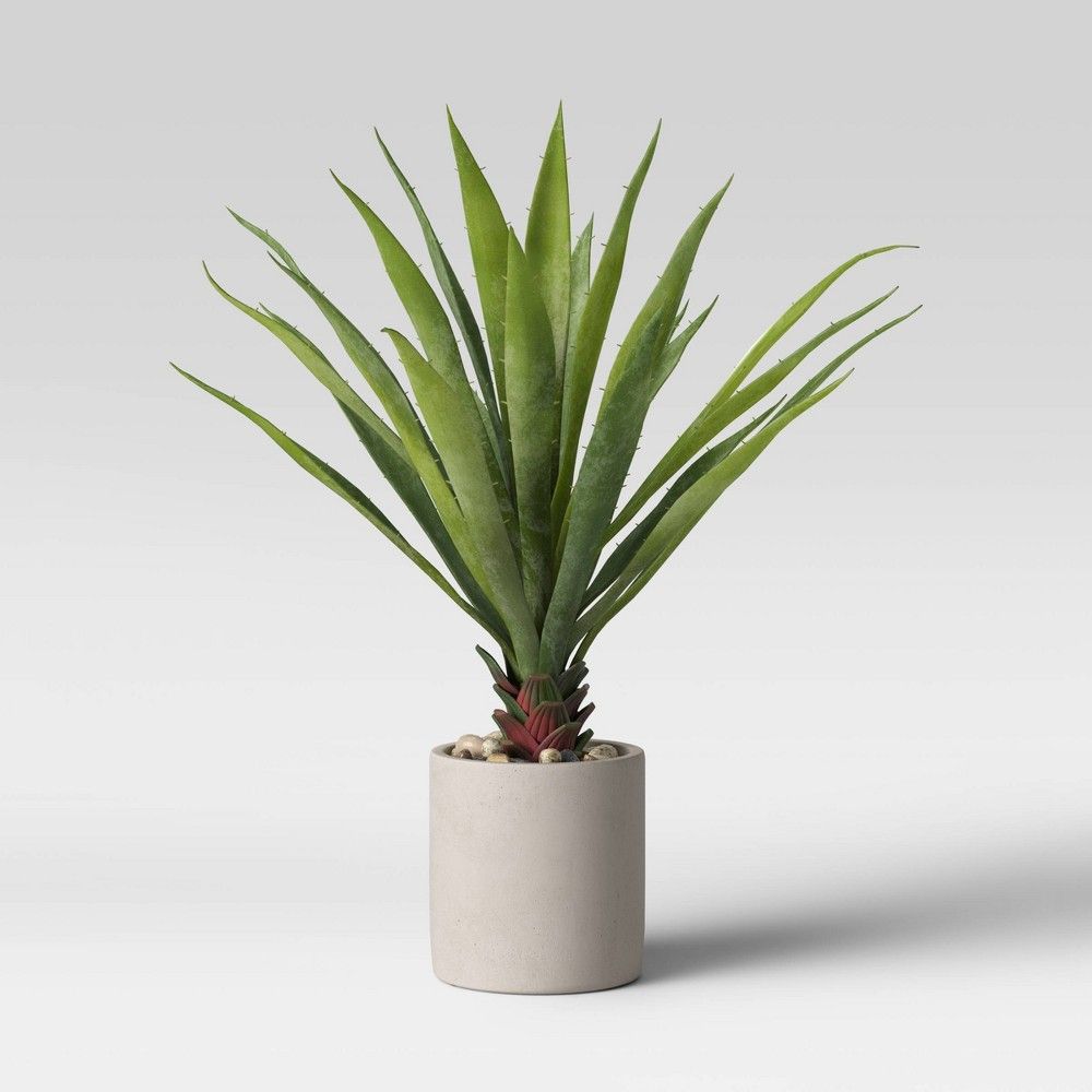 17"" Yucca in Pot - Project 62 | Target