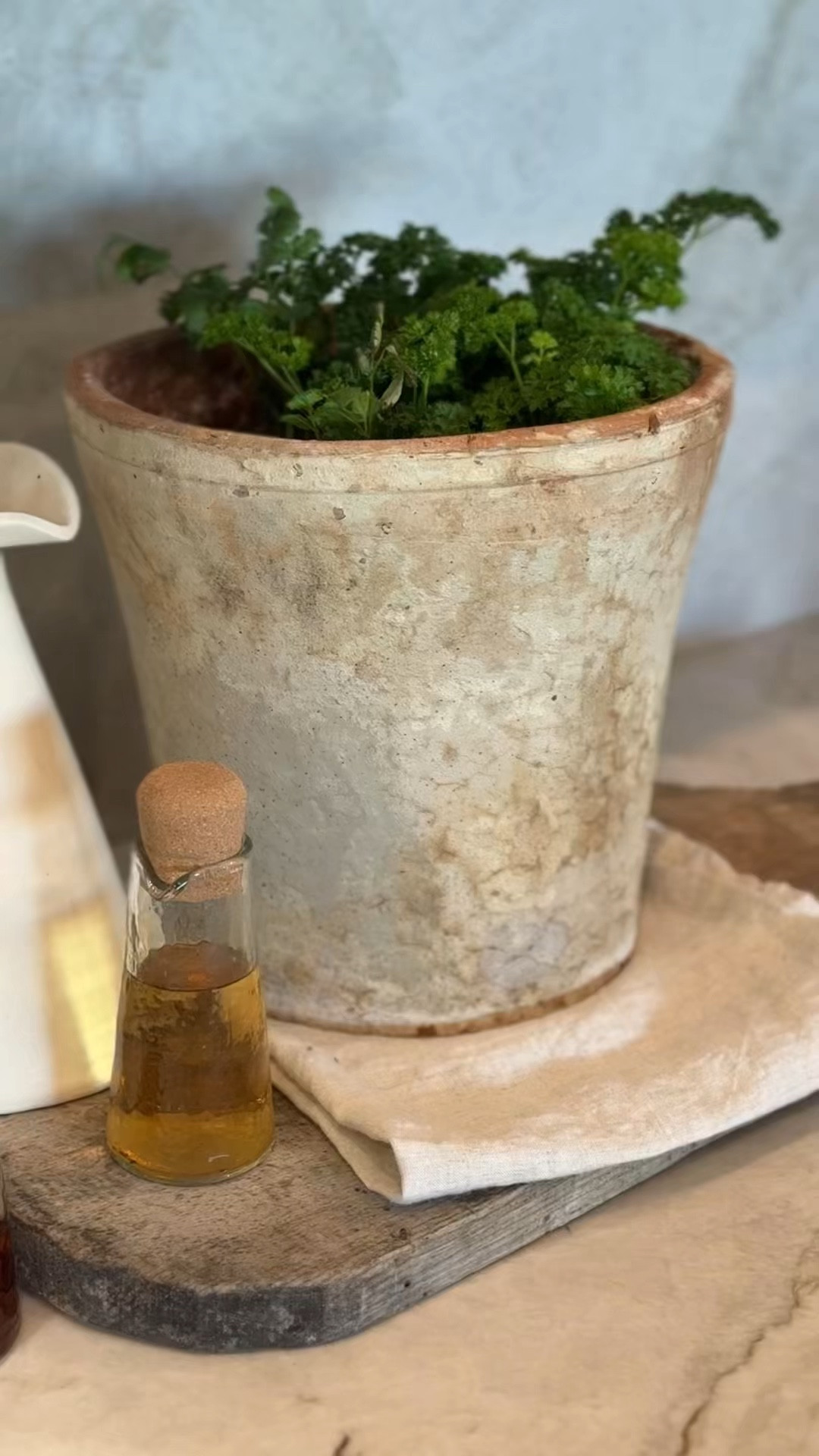 My exact pot is out of stock but linking one similar! 

Fresh herbs in antique pot, terracotta pot #gardening 

#LTKselfcare #LTKHome