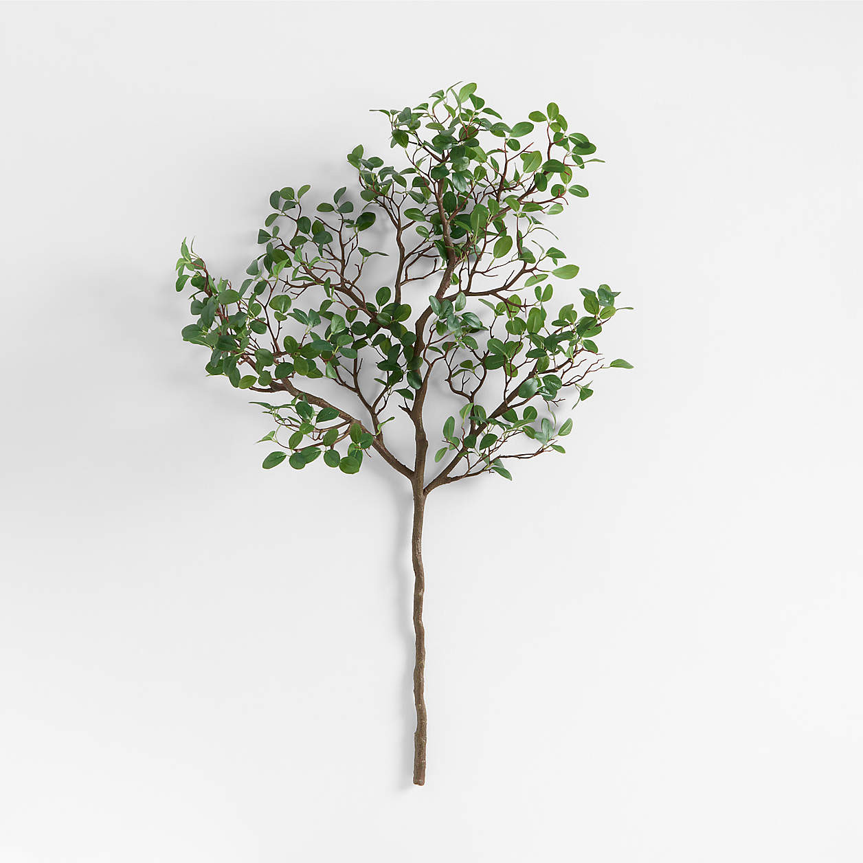 Faux Manzanita Leaf Spray 51" + Reviews | Crate & Barrel | Crate & Barrel