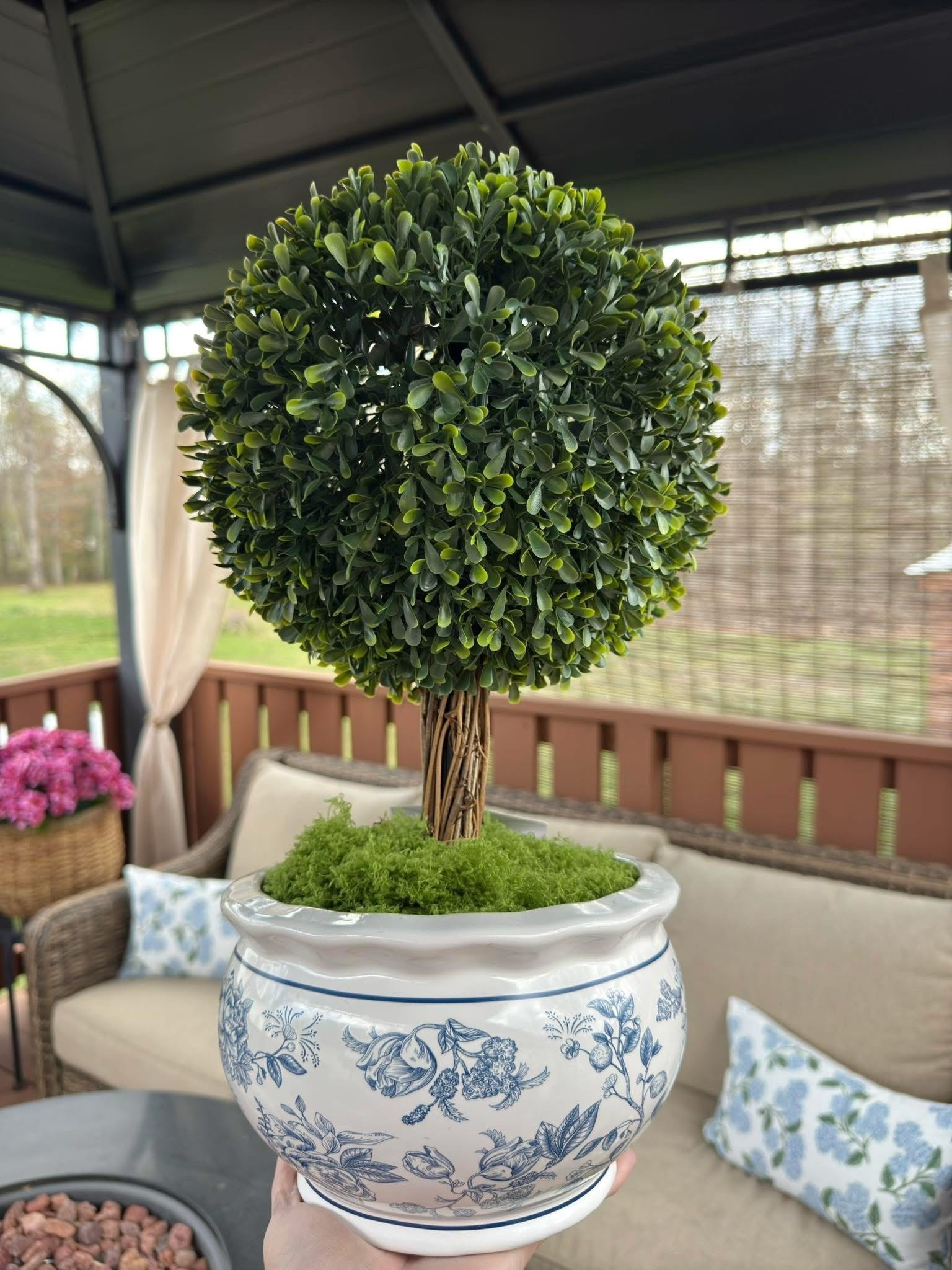 Obsessed is an understatement 😍 This My Texas House topiary from Walmart is the easiest way to elevate your patio, porch, or entryway for spring and summer. The classic blue and white planter gives major cozy cottage vibes, and the lush greenery looks so real without any maintenance. Bonus: it comes in two sizes so you can style them together or make a statement with just one.
Perfect for outdoor decor, farmhouse style, cottagecore aesthetic, and low-maintenance greenery lovers.
#MyTexasHouse #WalmartFinds #TopiaryTree #OutdoorDecor #PorchDecor #CottageStyle #FarmhouseDecor #SpringDecor #SummerDecor #HomeDecorFinds 

#LTKmomlife #LTKHome #LTKSeasonal