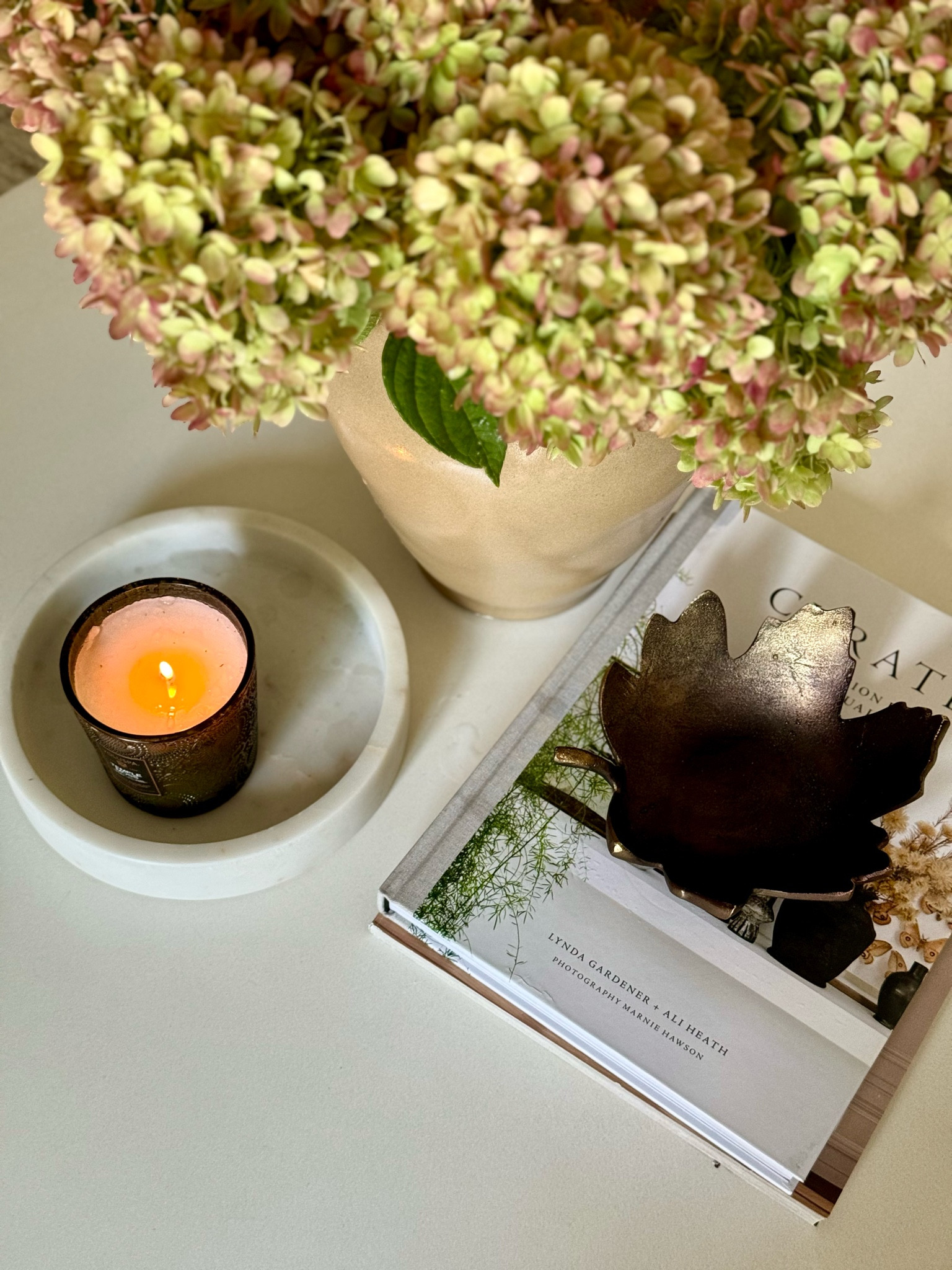 Fall coffee table styling 

#LTKHome #LTKSeasonal #LTKFindsUnder50