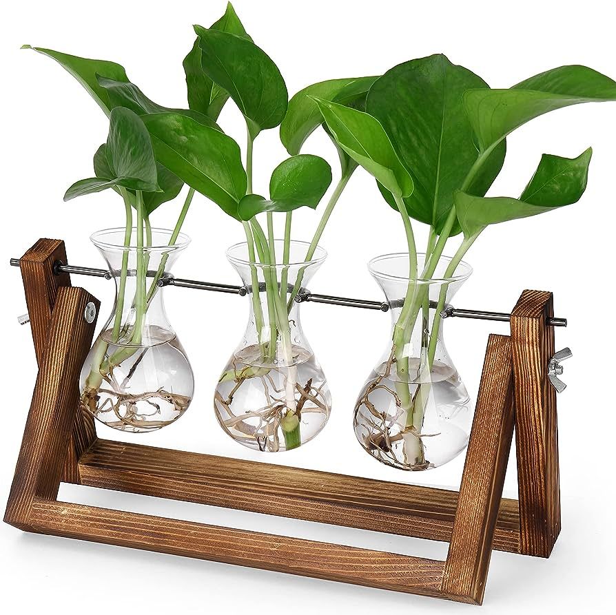 YIBOT Plant Propagation Stations Terrarium with Wooden Stand-Desktop Air Planter Bulb Glass Vase-... | Amazon (US)