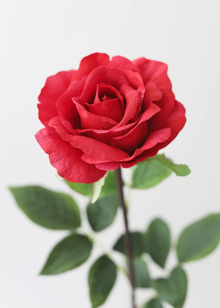 Red Real Touch Rose - 28" | Afloral