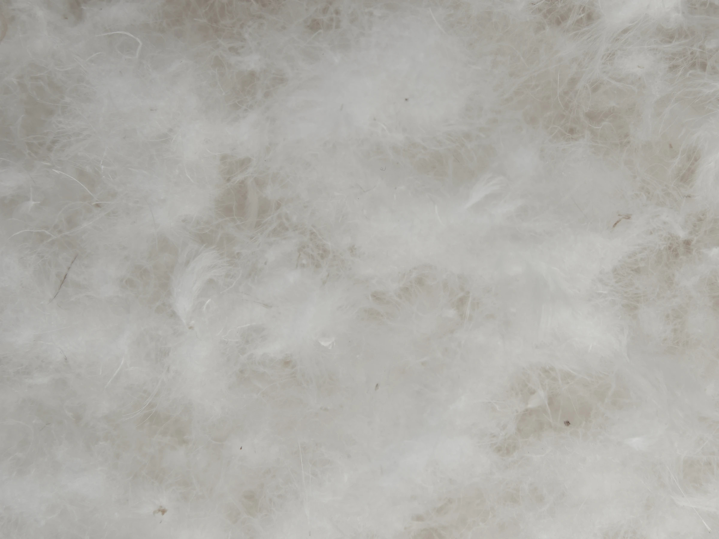 Down Duvet Insert | Parachute | Parachute