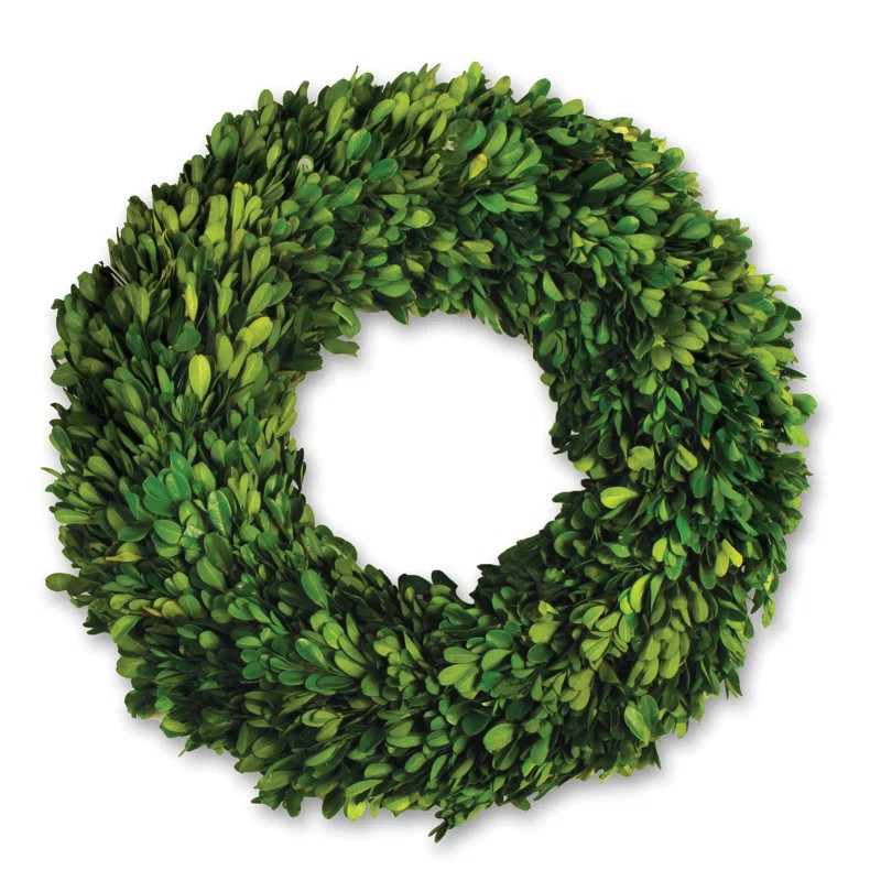 Javin Preserved Boxwood Wreath | Wayfair North America