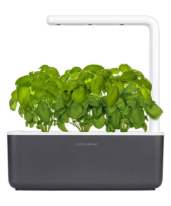 Click and Grow - Gray Smart Garden 3-Ct. Plant & Planter Set | Zulily